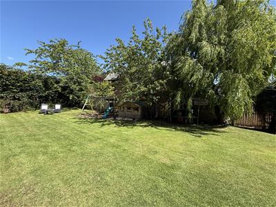 Picture 35